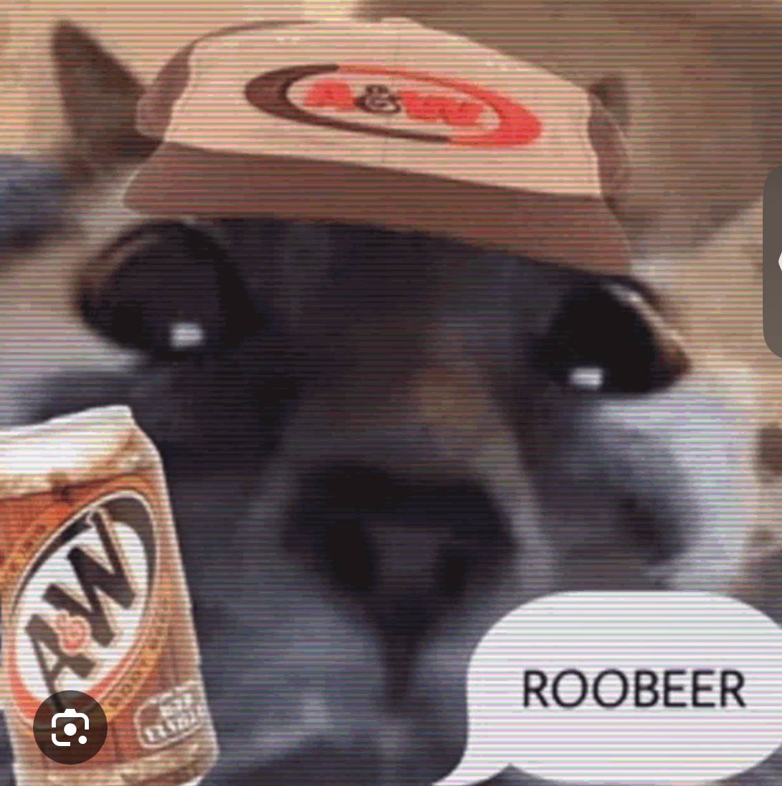 ROOBEER Image